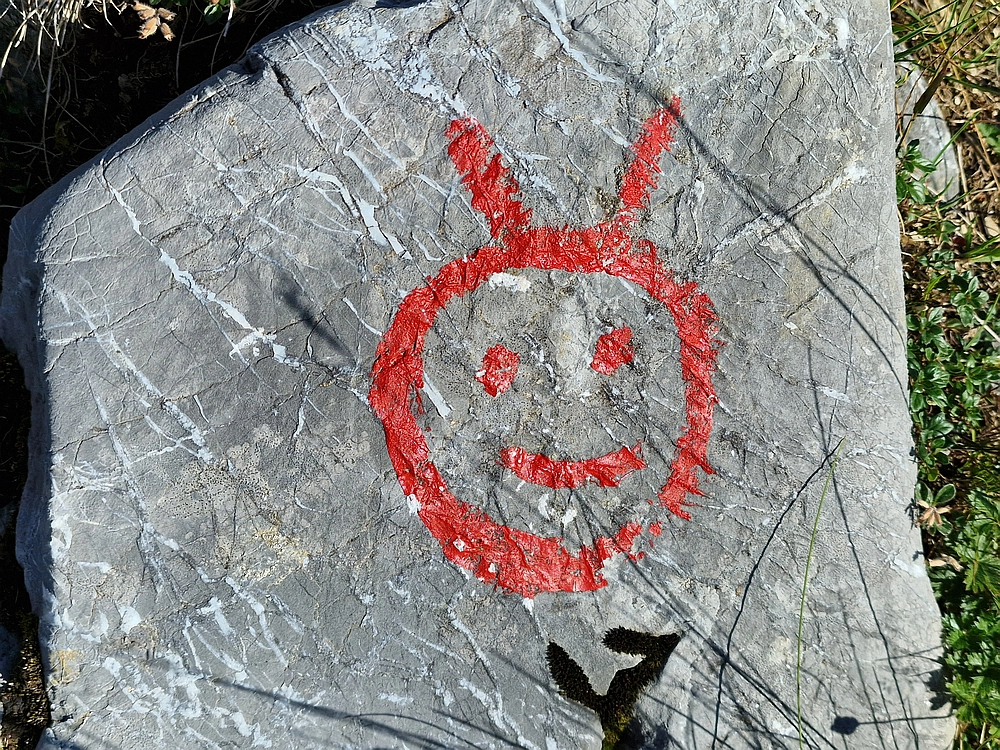 Slika je vidna v Google Chromu.