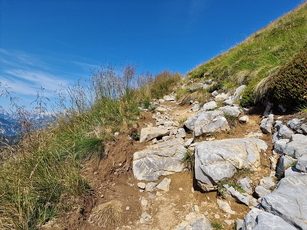 Slika je vidna v Google Chromu.