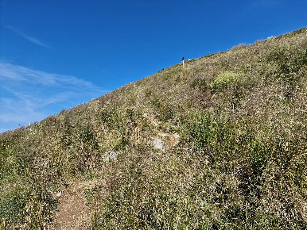 Slika je vidna v Google Chromu.
