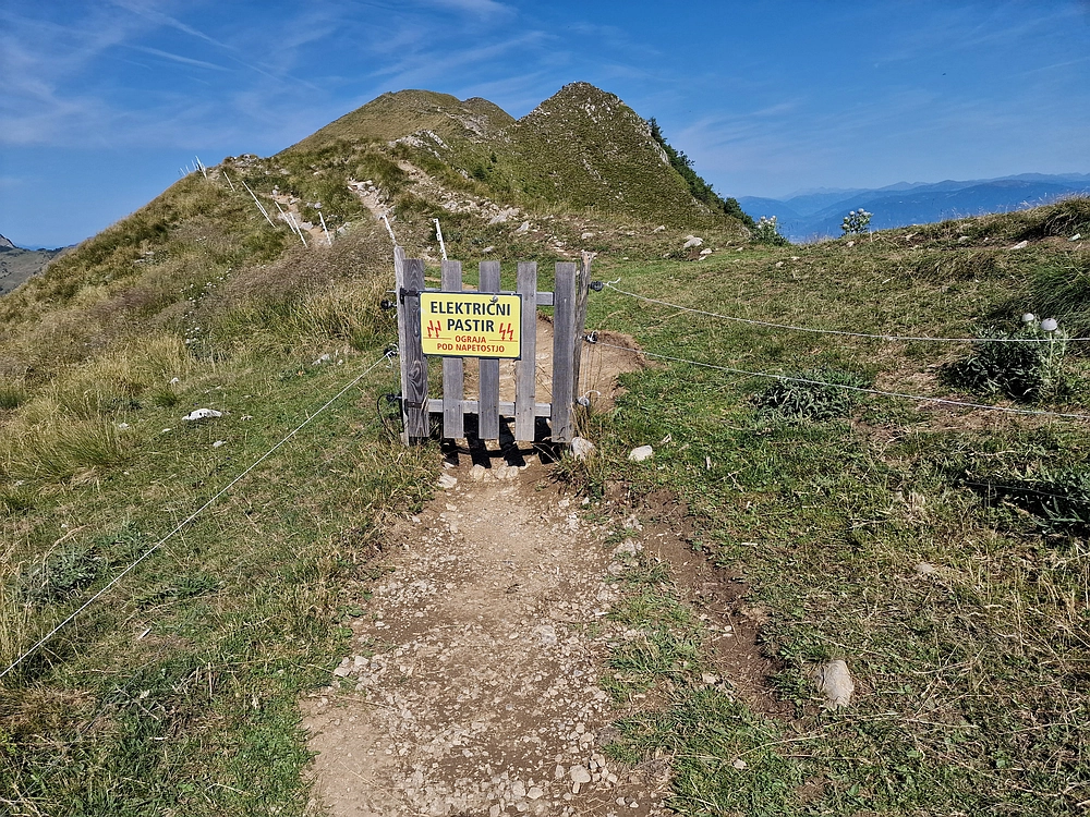 Slika je vidna v Google Chromu.