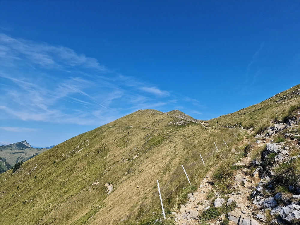 Slika je vidna v Google Chromu.