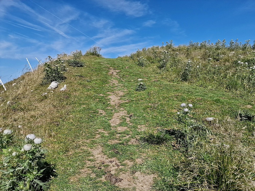 Slika je vidna v Google Chromu.
