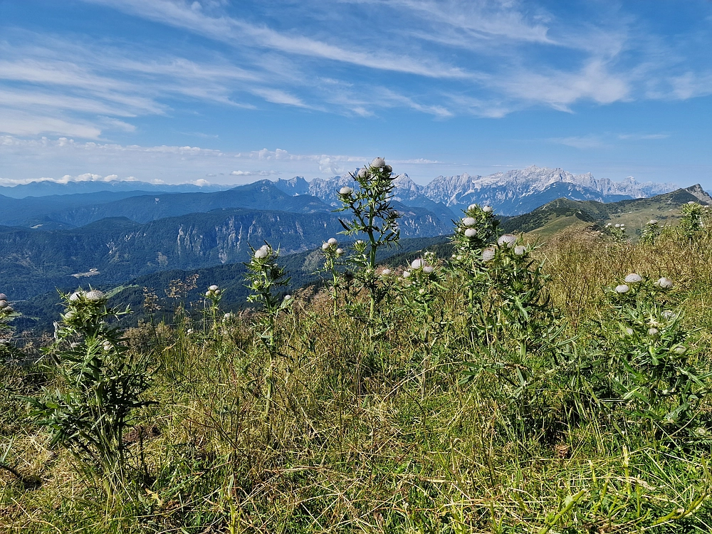 Slika je vidna v Google Chromu.