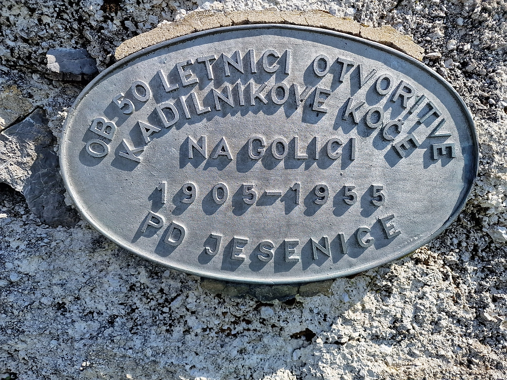 Slika je vidna v Google Chromu.