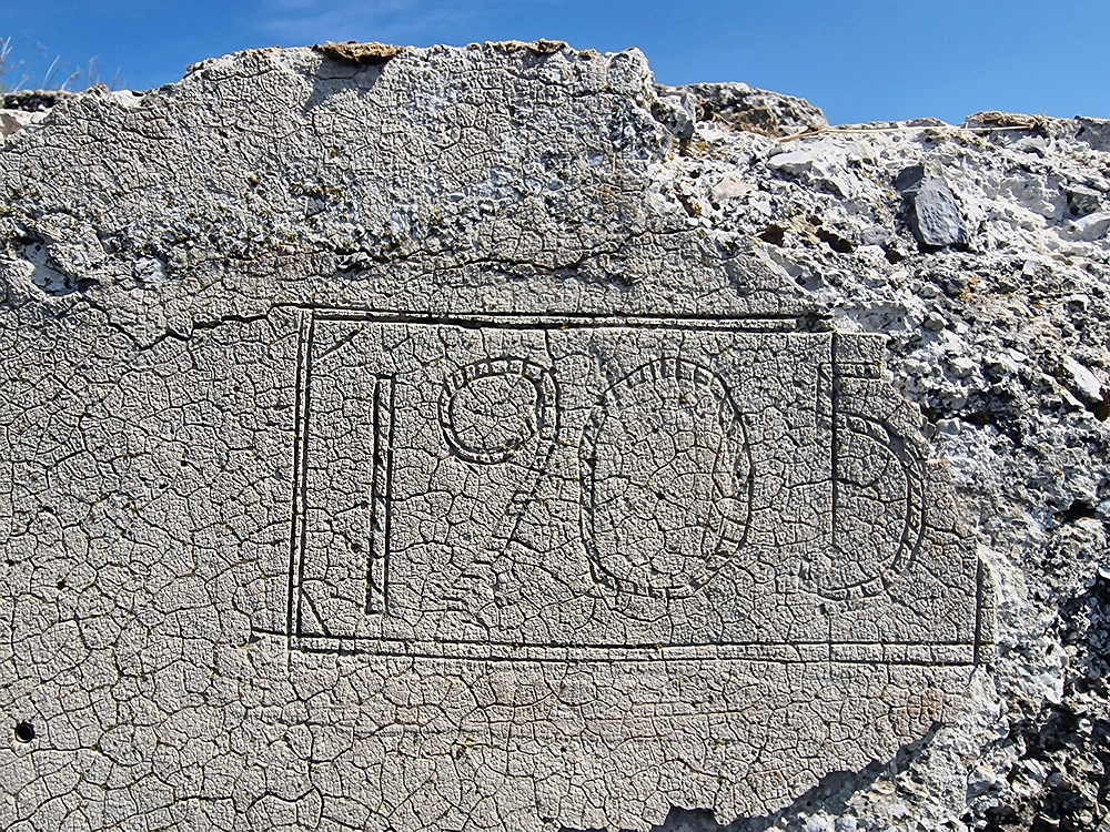 Slika je vidna v Google Chromu.