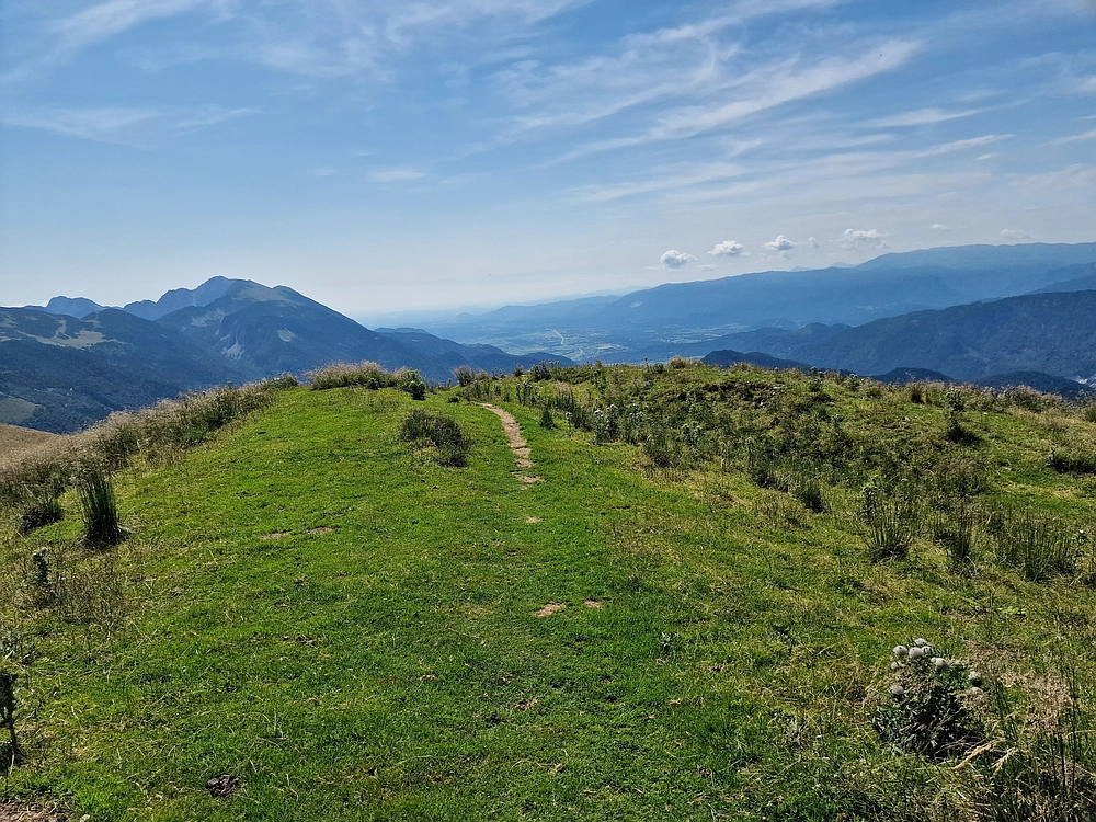 Slika je vidna v Google Chromu.