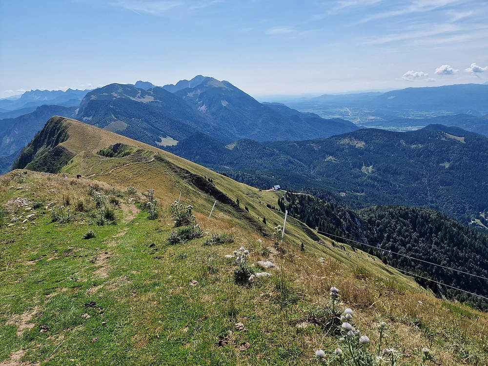 Slika je vidna v Google Chromu.