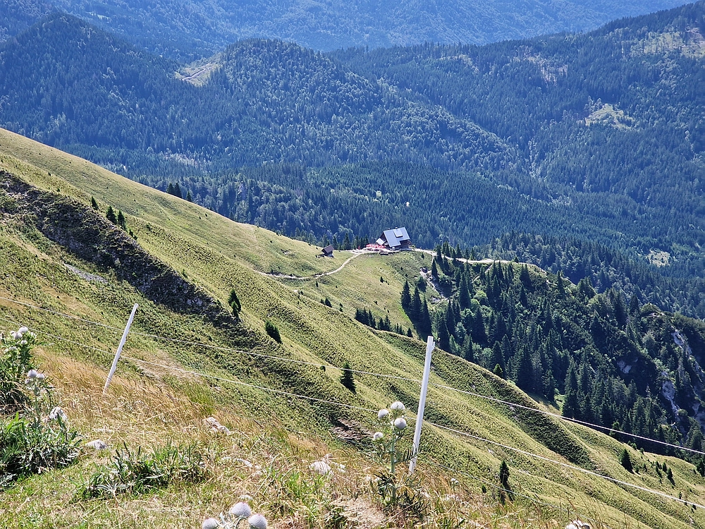 Slika je vidna v Google Chromu.