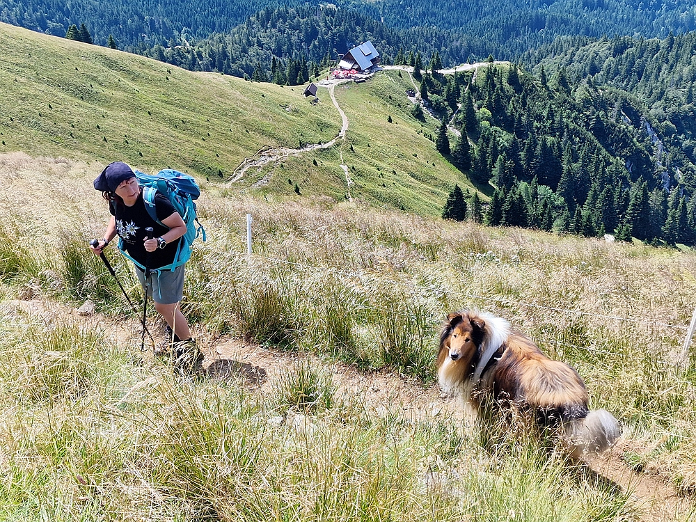 Slika je vidna v Google Chromu.