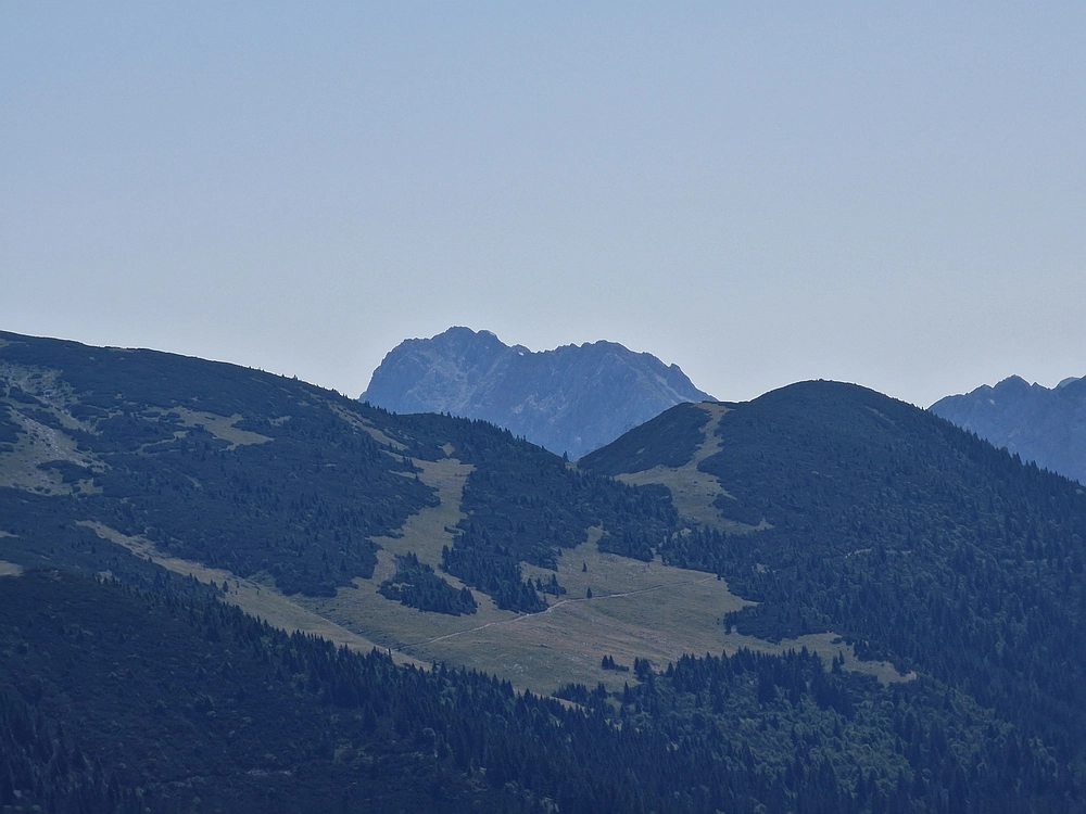 Slika je vidna v Google Chromu.