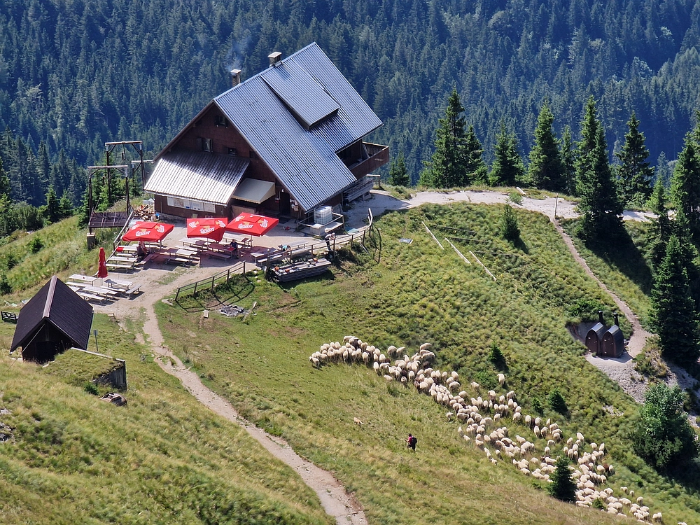 Slika je vidna v Google Chromu.