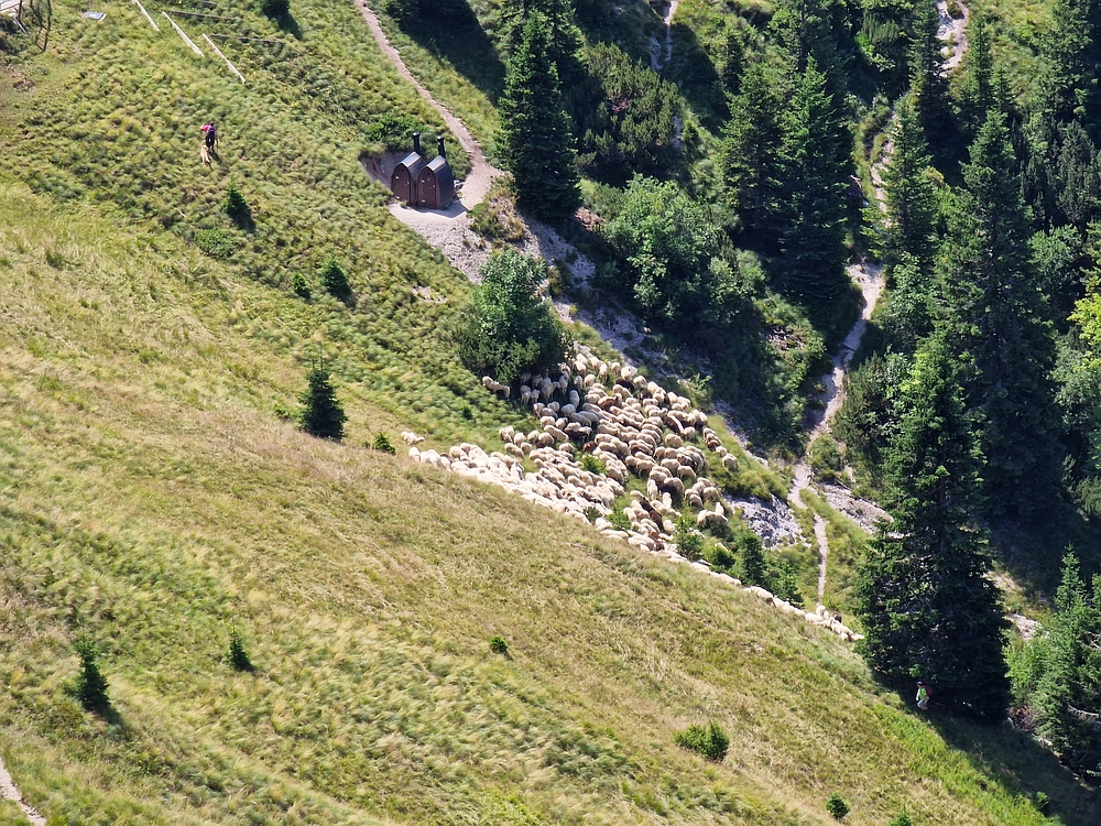 Slika je vidna v Google Chromu.