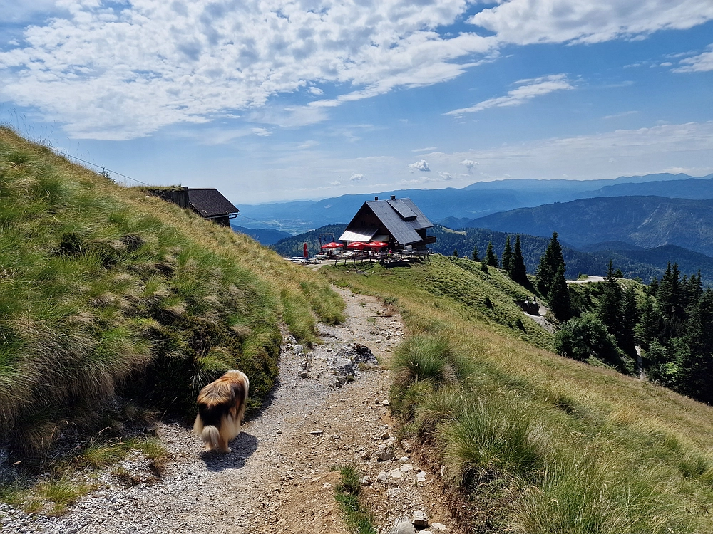 Slika je vidna v Google Chromu.