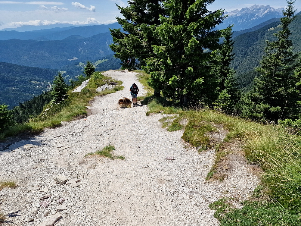 Slika je vidna v Google Chromu.