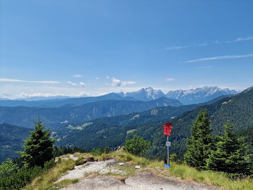 Slika je vidna v Google Chromu.