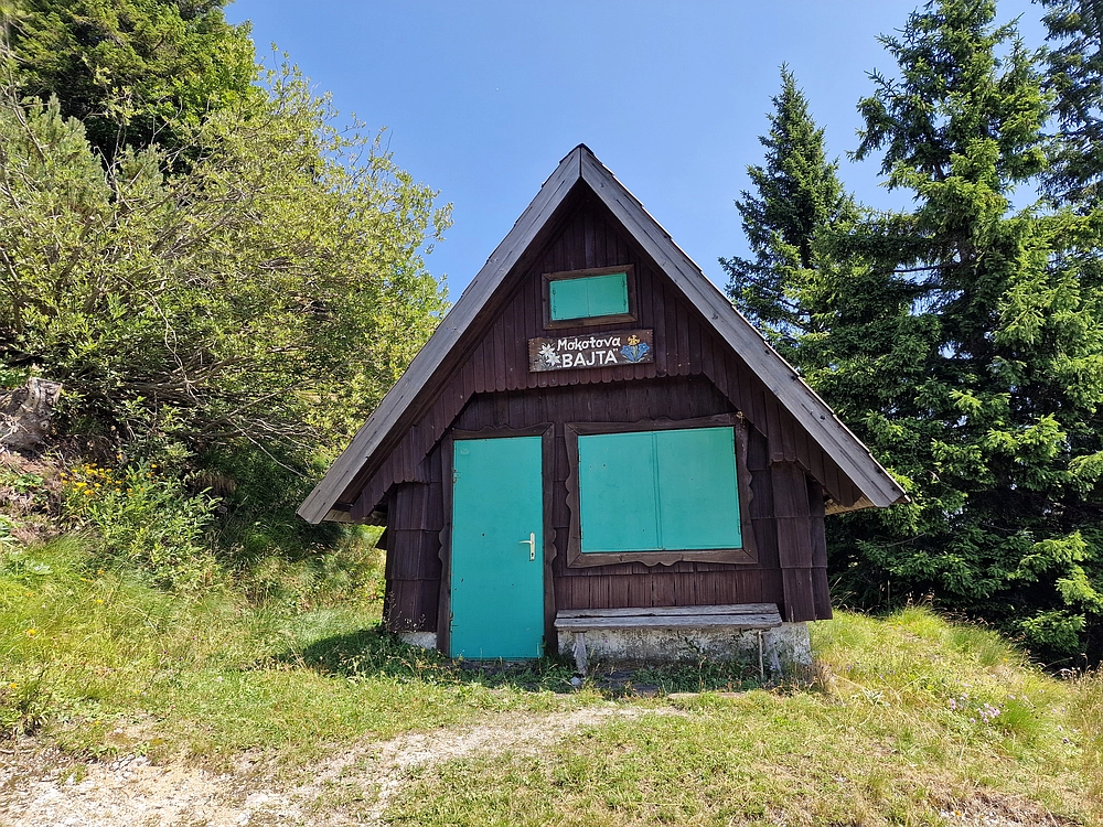 Slika je vidna v Google Chromu.