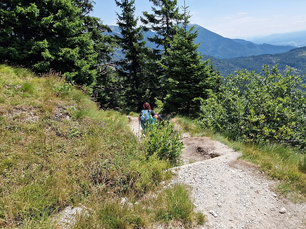 Slika je vidna v Google Chromu.