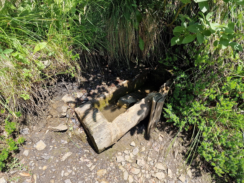 Slika je vidna v Google Chromu.