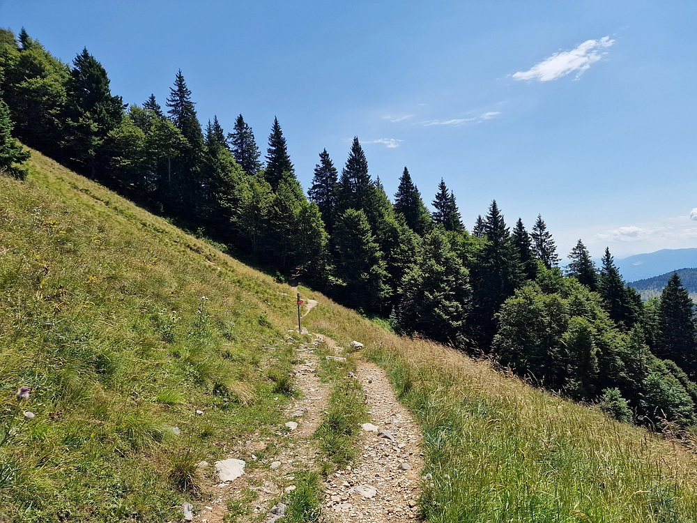 Slika je vidna v Google Chromu.