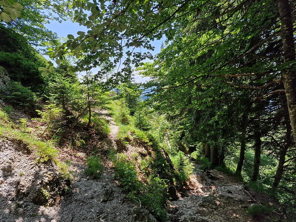 Slika je vidna v Google Chromu.