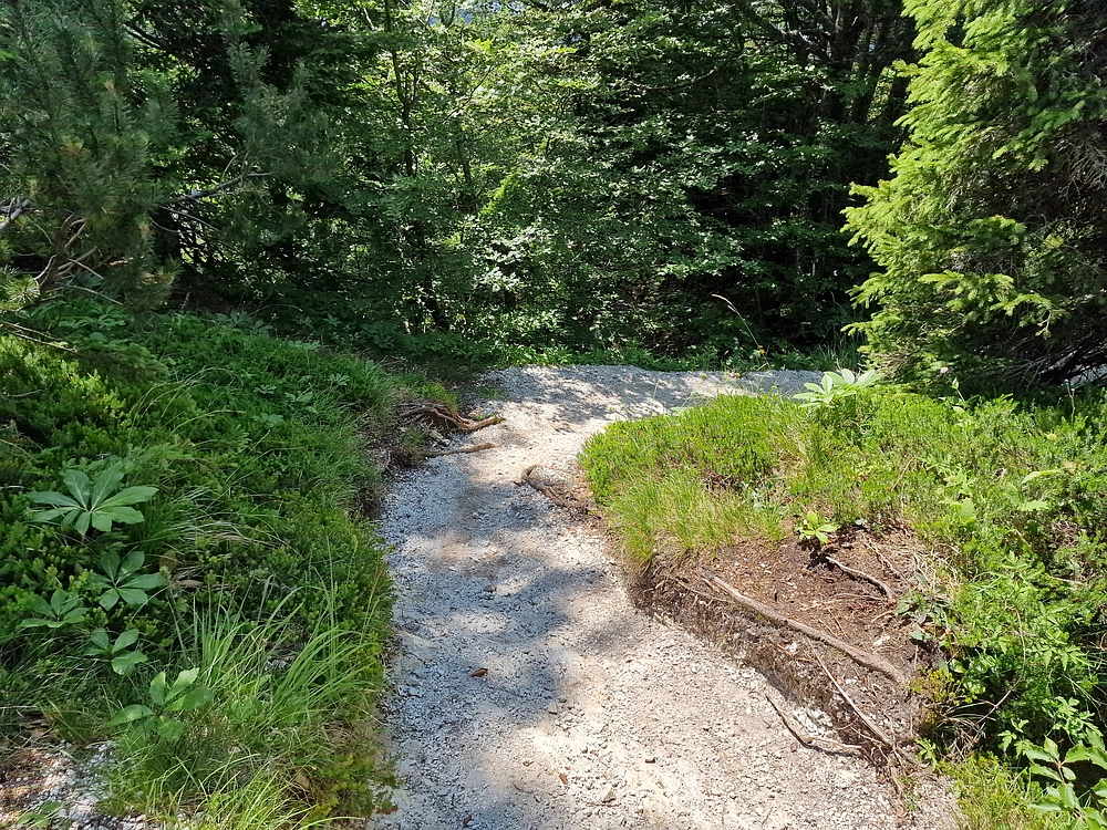 Slika je vidna v Google Chromu.