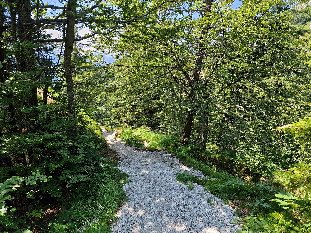 Slika je vidna v Google Chromu.