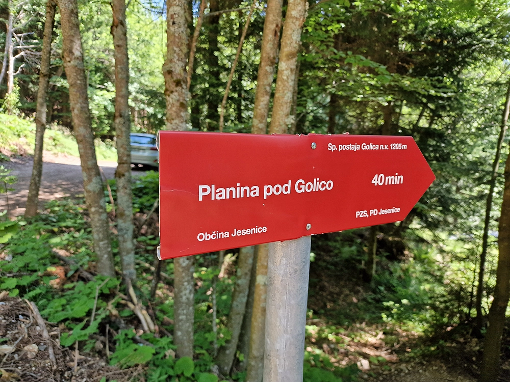 Slika je vidna v Google Chromu.