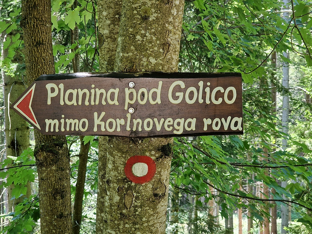 Slika je vidna v Google Chromu.