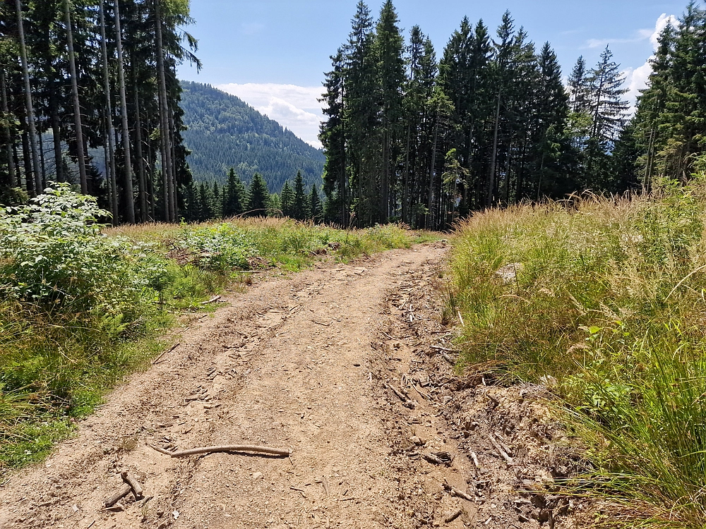 Slika je vidna v Google Chromu.