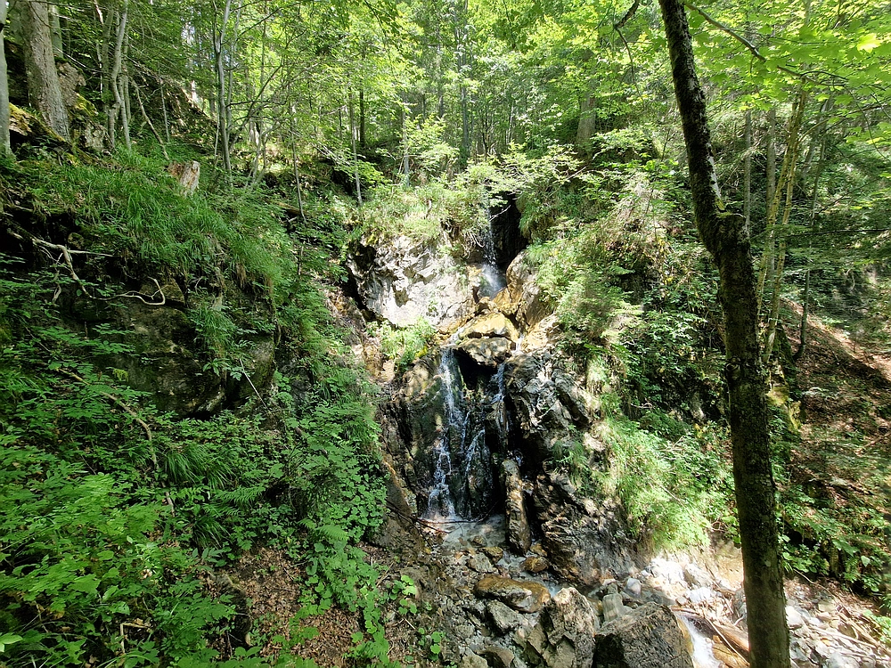 Slika je vidna v Google Chromu.