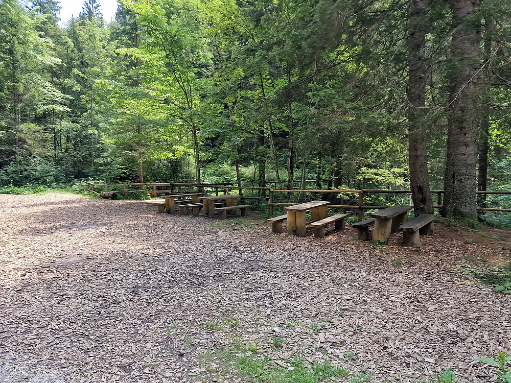 Slika je vidna v Google Chromu.