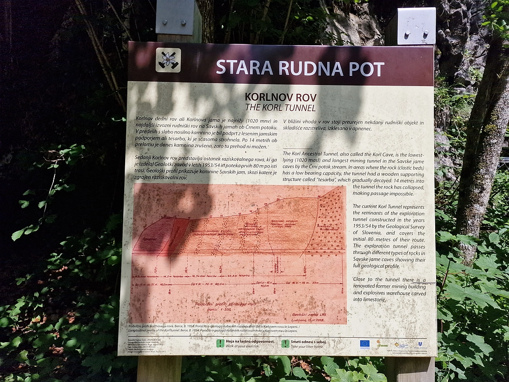 Slika je vidna v Google Chromu.