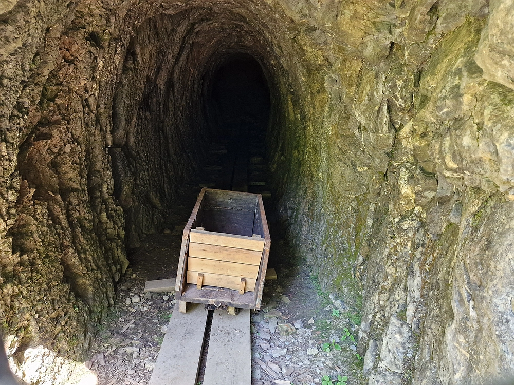 Slika je vidna v Google Chromu.