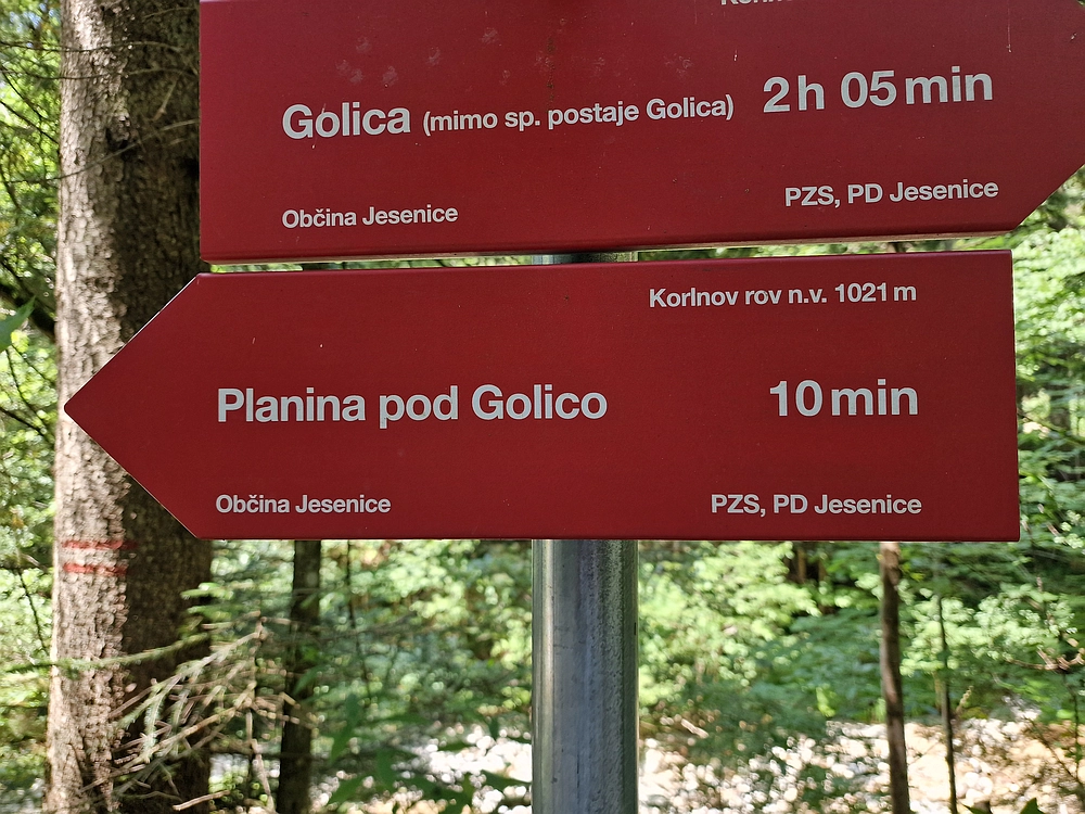 Slika je vidna v Google Chromu.