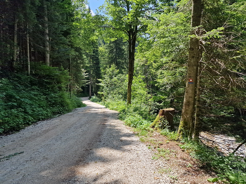 Slika je vidna v Google Chromu.