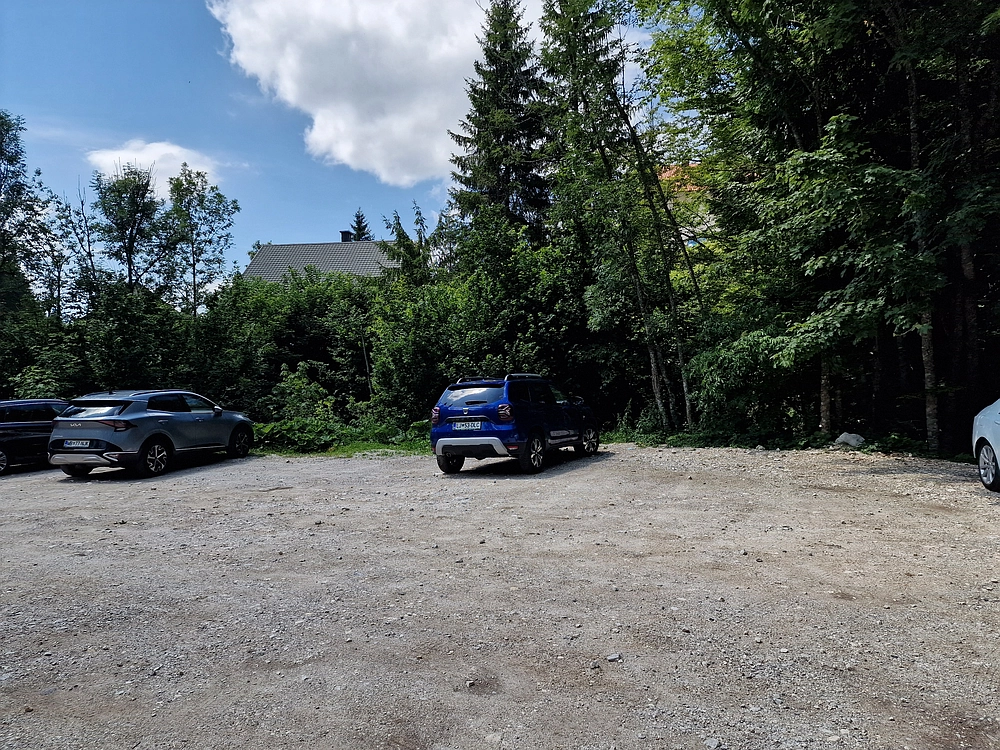 Slika je vidna v Google Chromu.