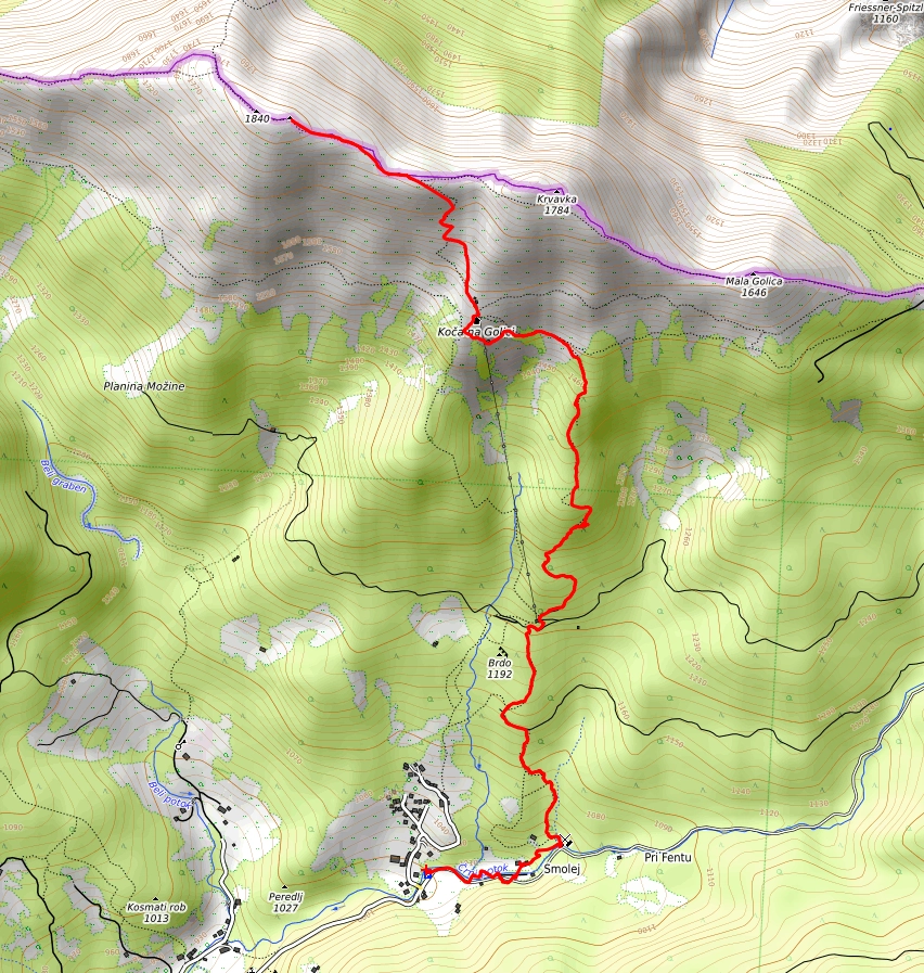 Slika je vidna v Google Chromu.