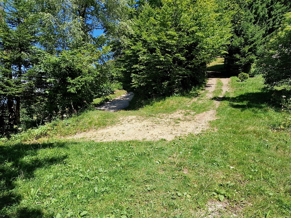 Slika je vidna v Google Chromu.