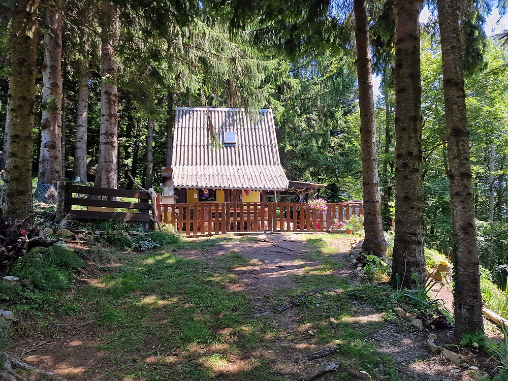 Slika je vidna v Google Chromu.