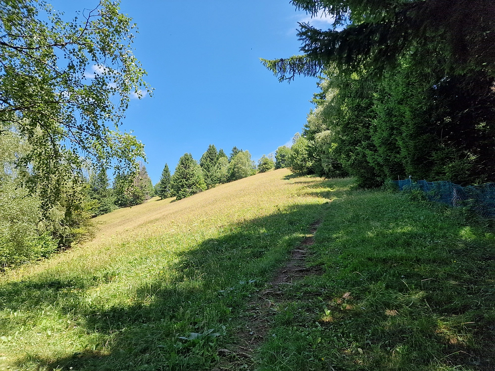 Slika je vidna v Google Chromu.