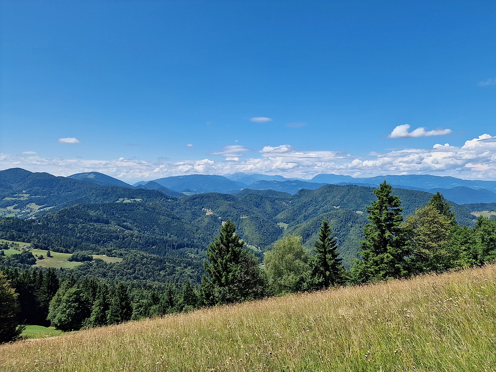 Slika je vidna v Google Chromu.