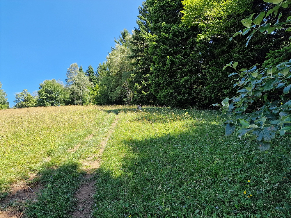 Slika je vidna v Google Chromu.