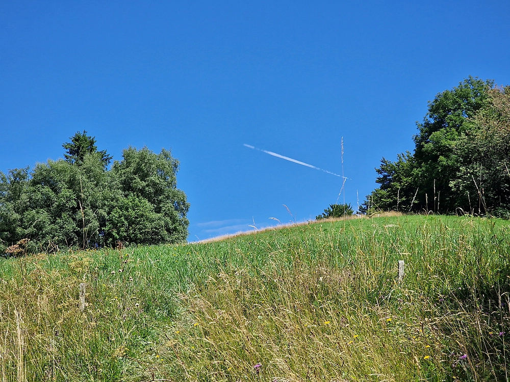Slika je vidna v Google Chromu.