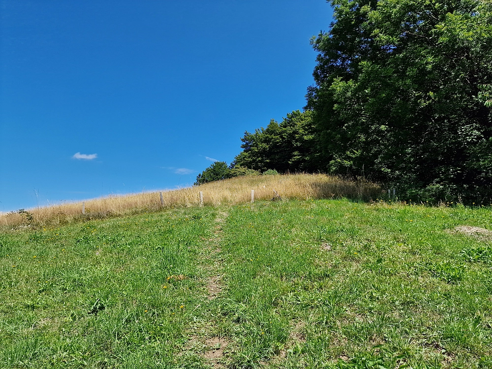 Slika je vidna v Google Chromu.