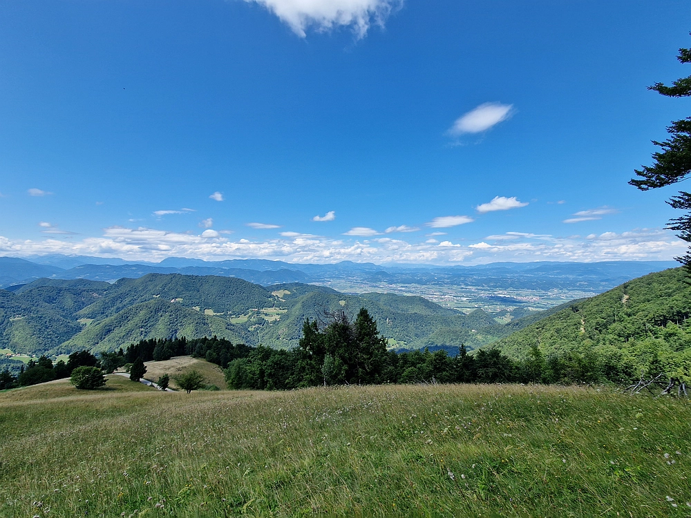 Slika je vidna v Google Chromu.