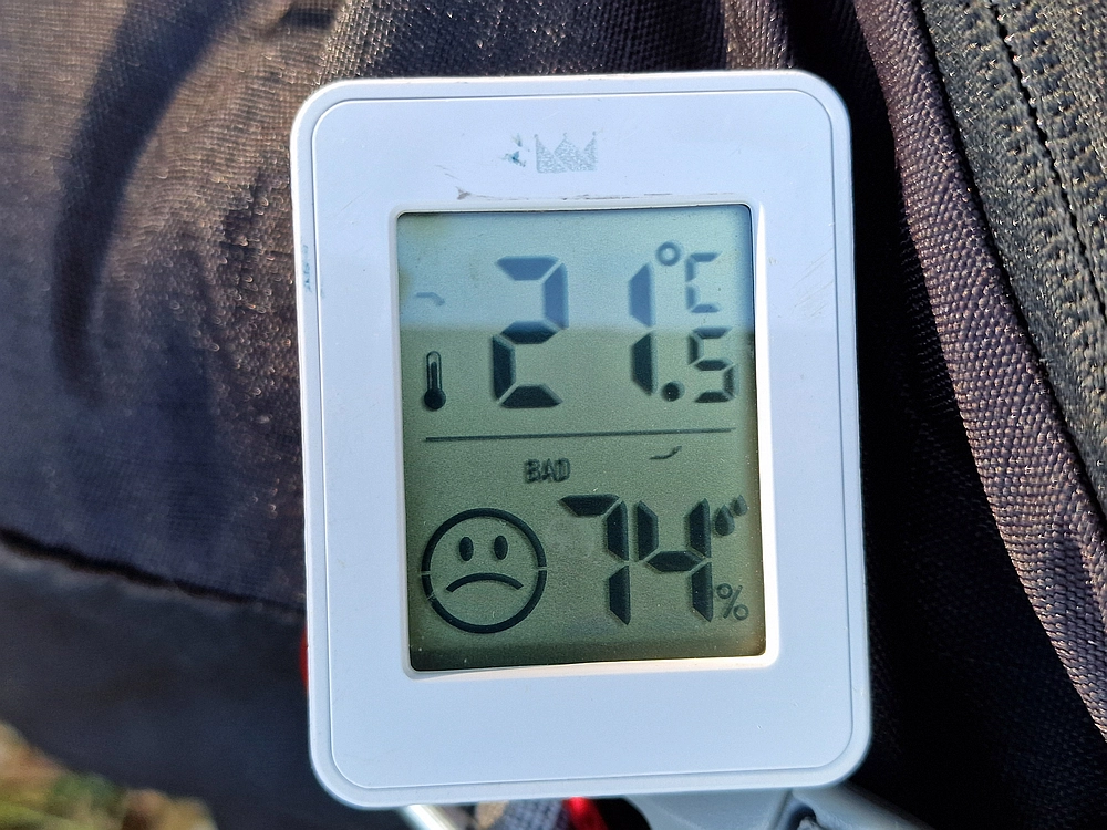 Slika je vidna v Google Chromu.