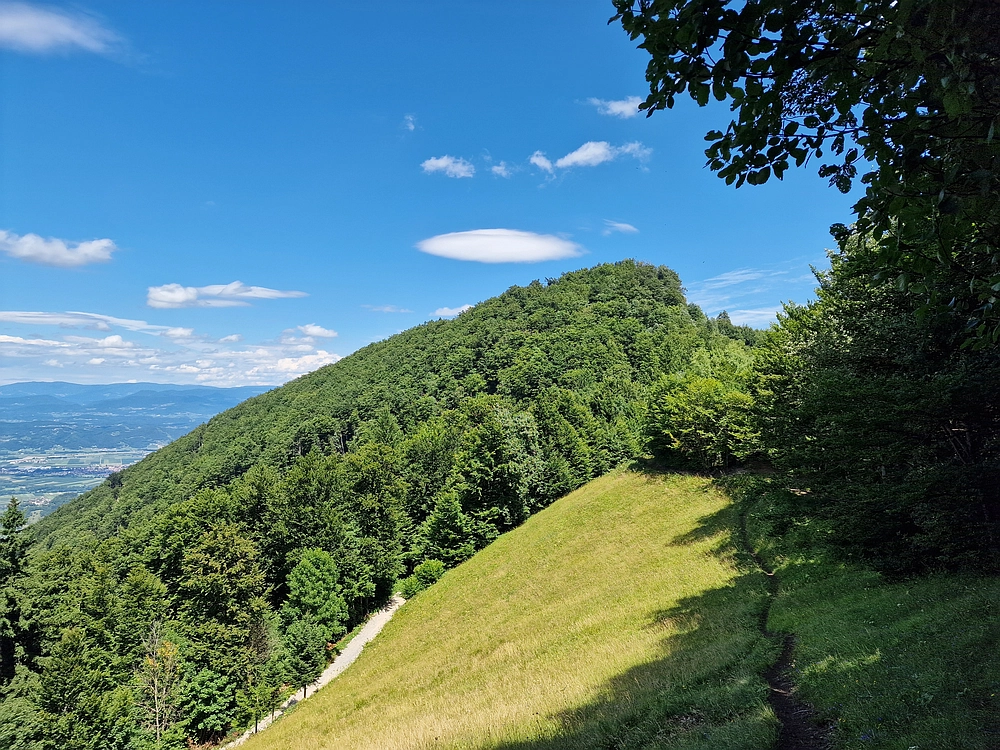 Slika je vidna v Google Chromu.