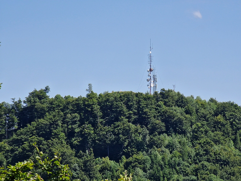Slika je vidna v Google Chromu.