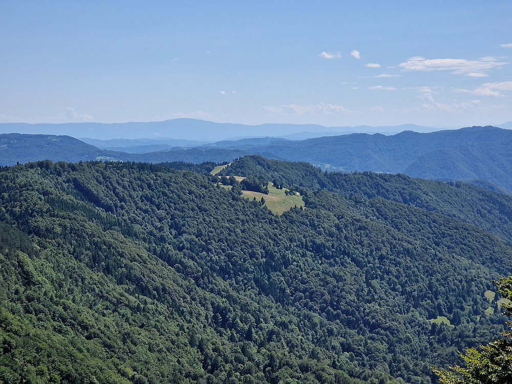 Slika je vidna v Google Chromu.