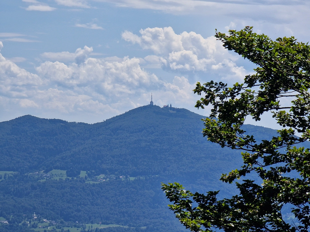 Slika je vidna v Google Chromu.